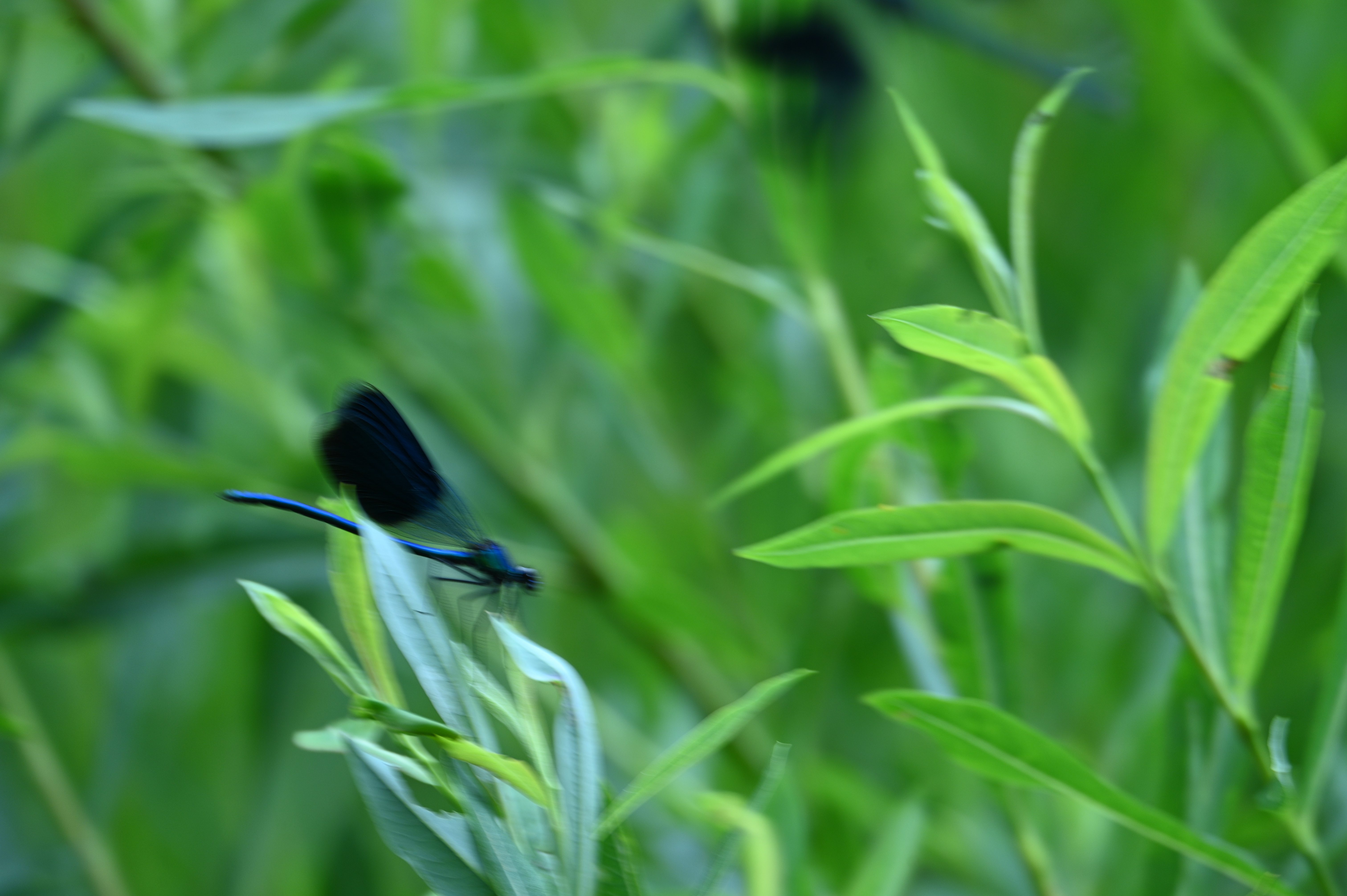 2025/07/09-14 - trip/DSC_0221.JPG